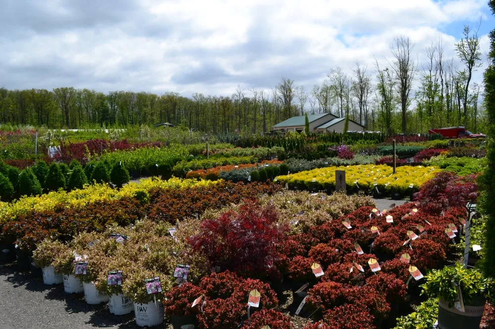 Professional residential landscaping experts serving Hamburg, NY - Gullo's Garden Center