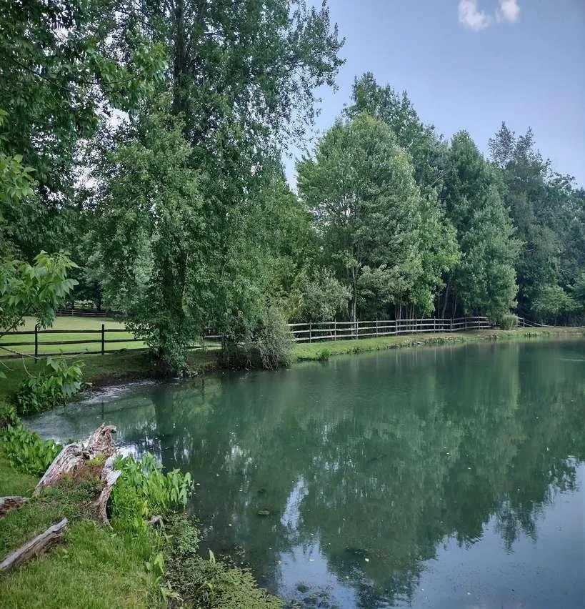 Affordable lawn care service in Wayne, PA - Gulph Creek & Dirt Work