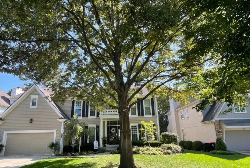 Local yard maintenance in Pleasanton, KS - Gummarus Lawn and Tree