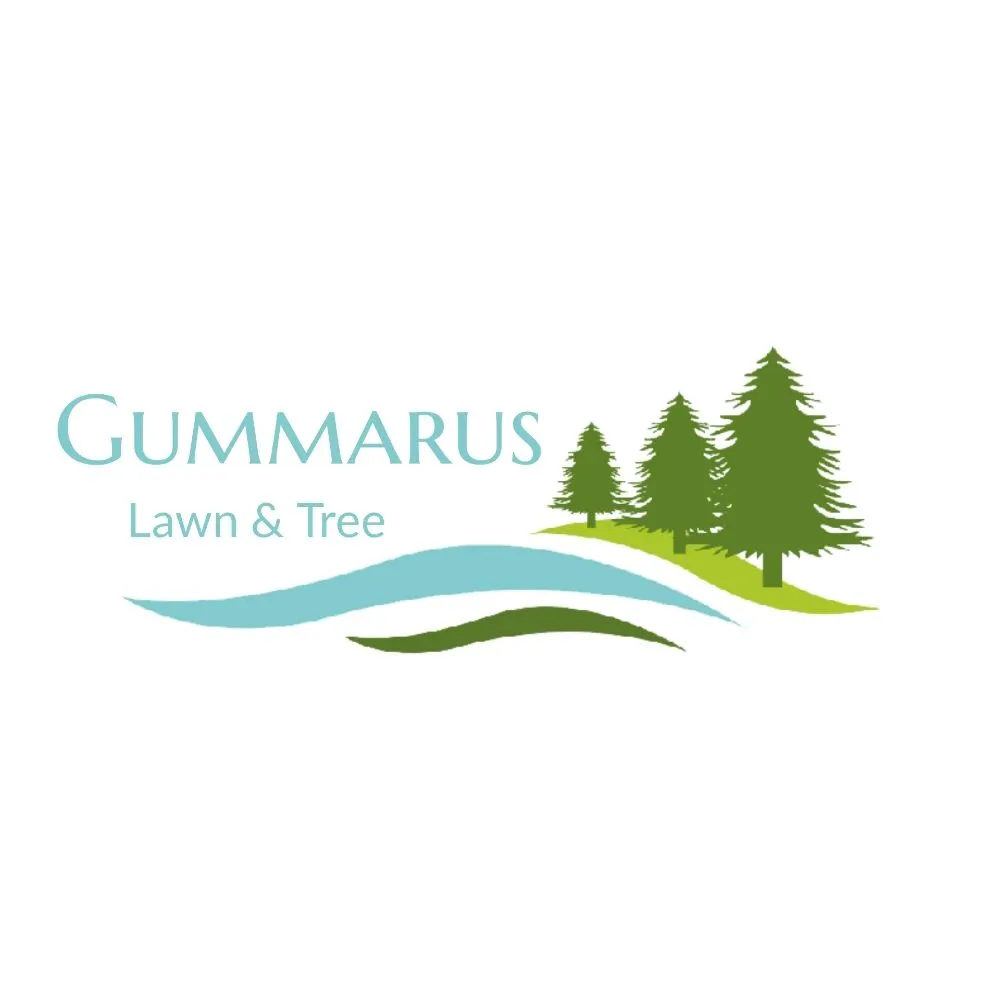 Top-rated yard cleanup service in Pleasanton, KS - Gummarus Lawn and Tree