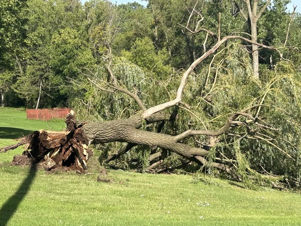 Trusted outdoor landscaping for year-round maintenance in Little Chute, WI by Gump’s Mow N Go