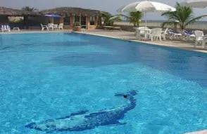 Top-rated yard maintenance for year-round maintenance in Ambler, PA by Gunite Specialists Inc