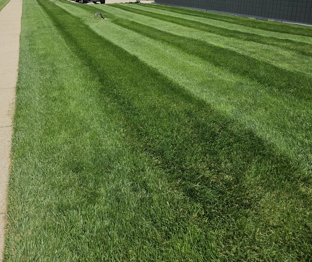 Reliable yard maintenance in Nicholasville, KY by Gunnar's Mowing