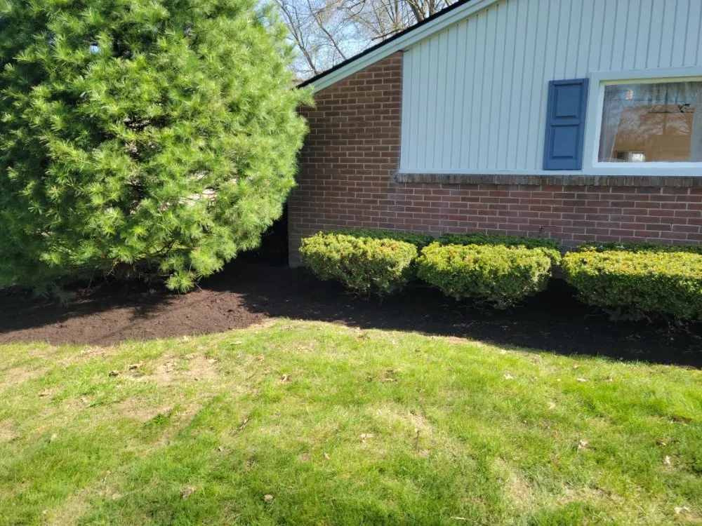 Local lawn mowing service in Youngstown, OH by Gunner's Lawn & Land