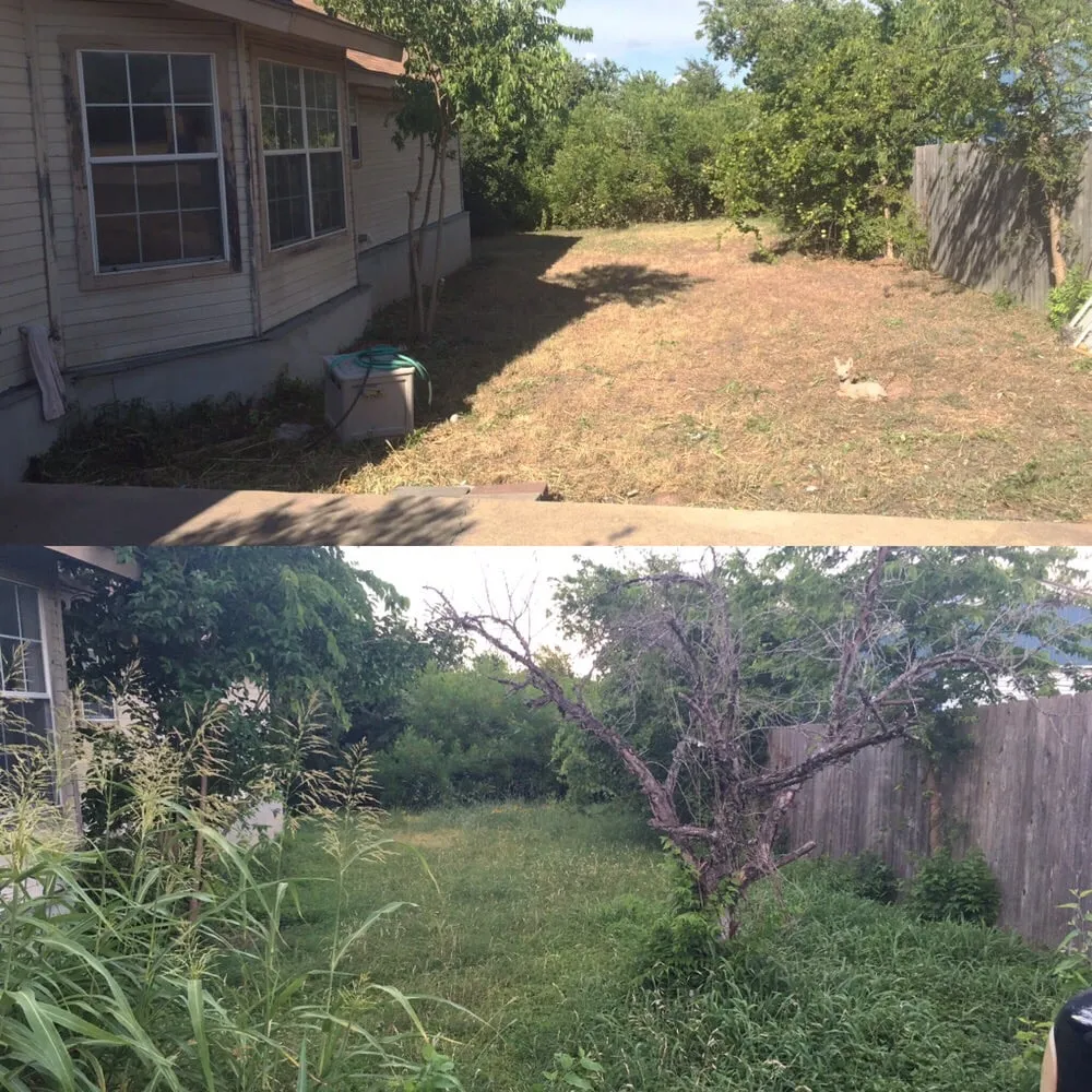 Local landscape installation for year-round maintenance in Austin, TX by Gunners Lawn Care