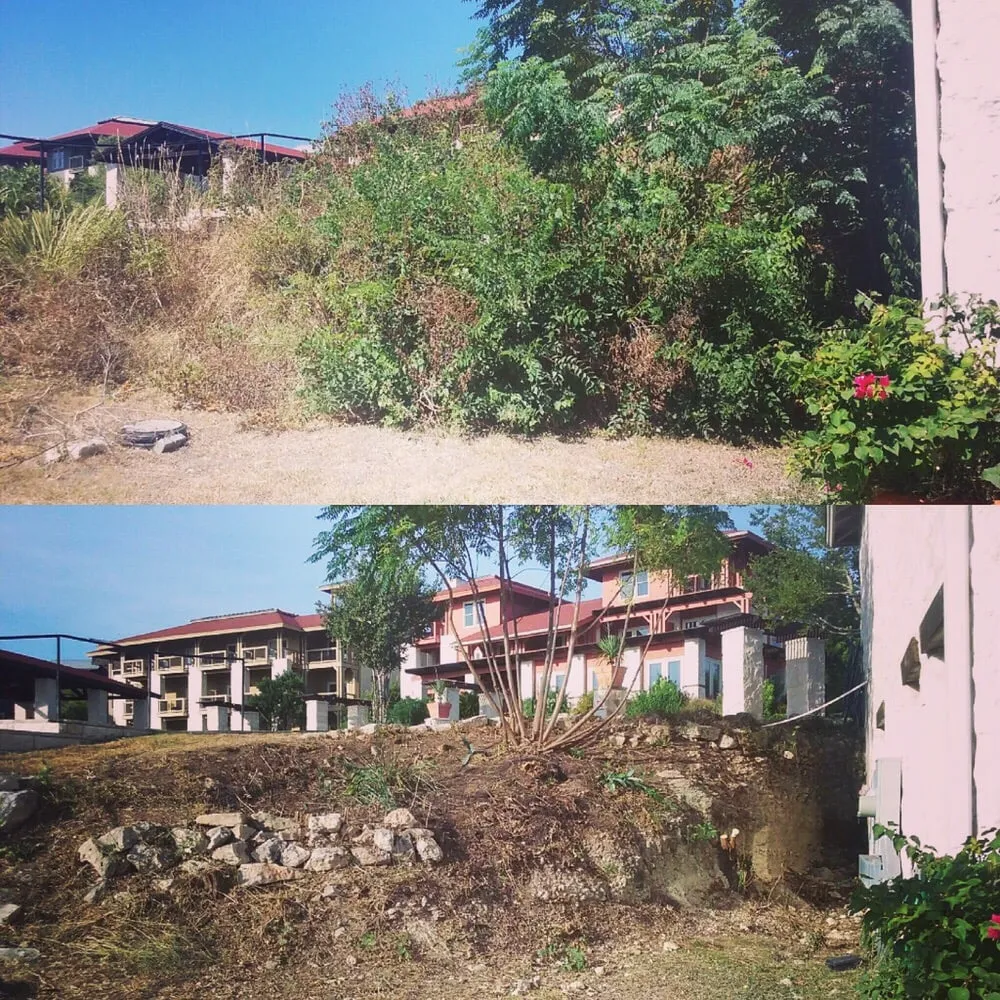 Trusted lawn care service in Austin, TX by Gunners Lawn Care