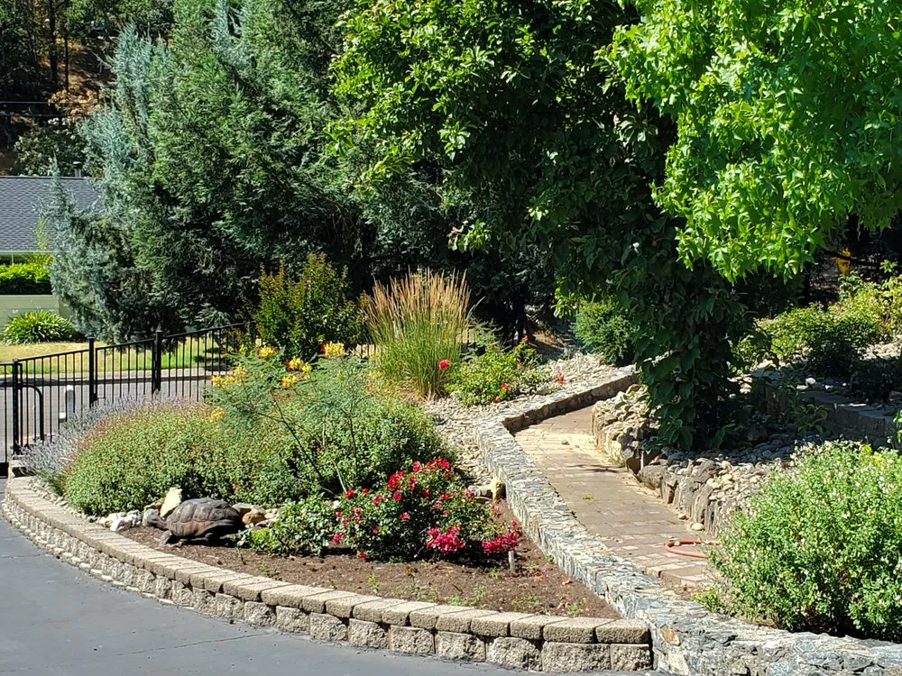 Top-rated landscape installation in Ukiah, CA - Gunny Mo & Son’s Landscaping