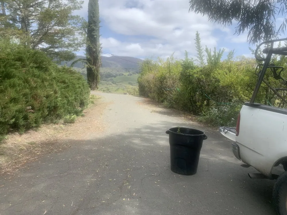 Expert garden landscaping for homes in Ukiah, CA by Gunny Mo & Son’s Landscaping