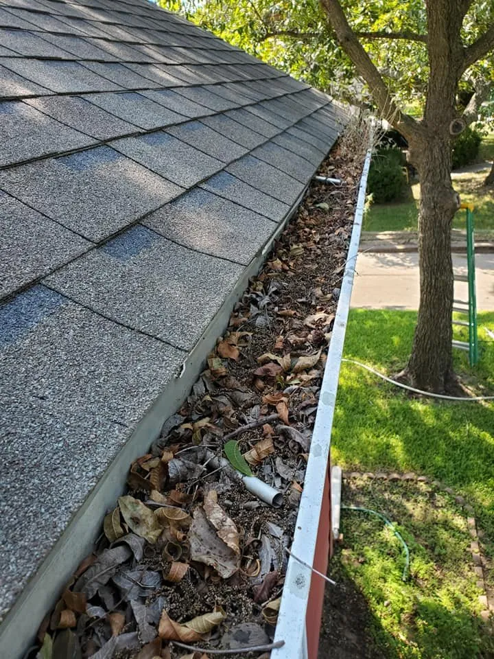 Affordable yard cleanup service near you in Sherman, TX by Gun's & Hose's of Texas