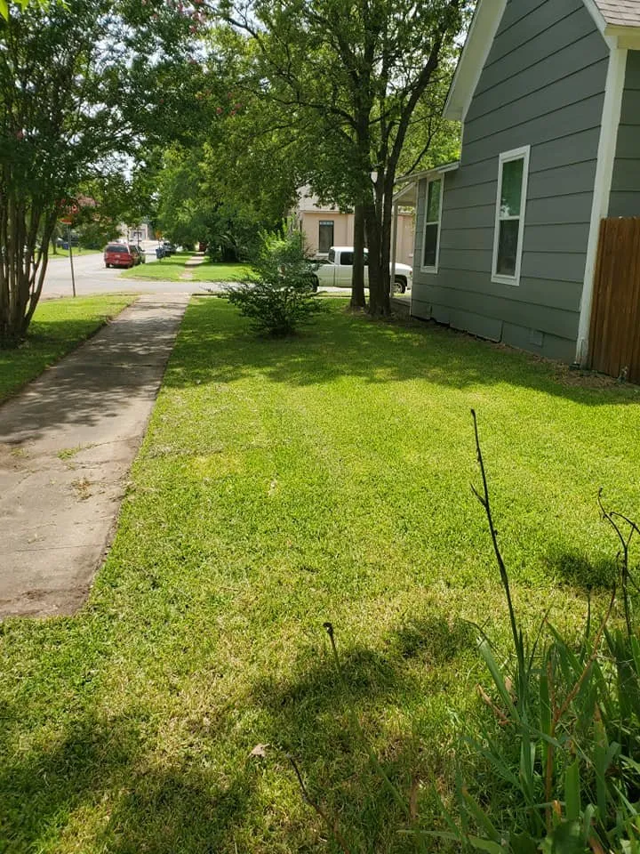 Top-rated yard maintenance near you in Sherman, TX by Gun's & Hose's of Texas