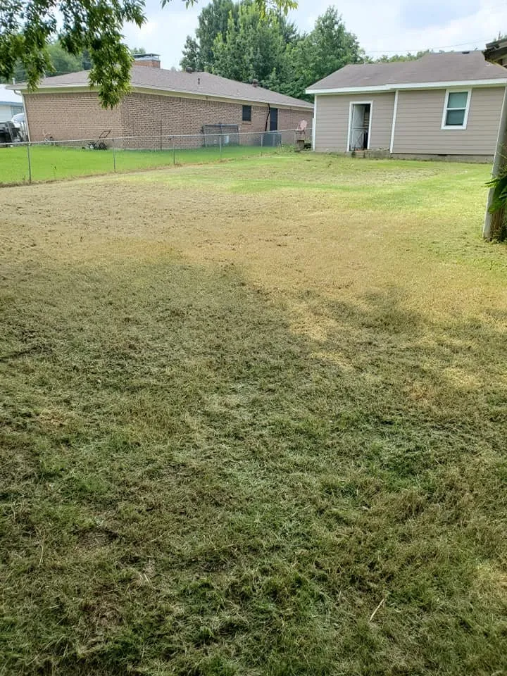 Trusted landscape design for outdoor upgrades across Sherman, TX - Gun's & Hose's of Texas