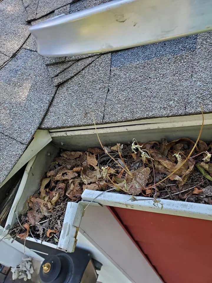 Reliable lawn mowing service in Sherman, TX - Gun's & Hose's of Texas