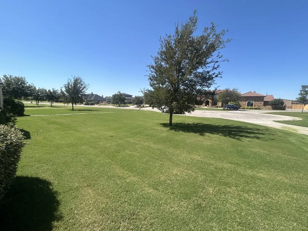 Trusted landscaping services in Lubbock, TX by Guns Up Lawn Care & Service