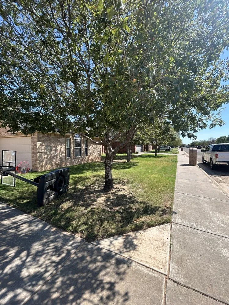 Professional lawn care service in Lubbock, TX by Guns Up Lawn Care & Service