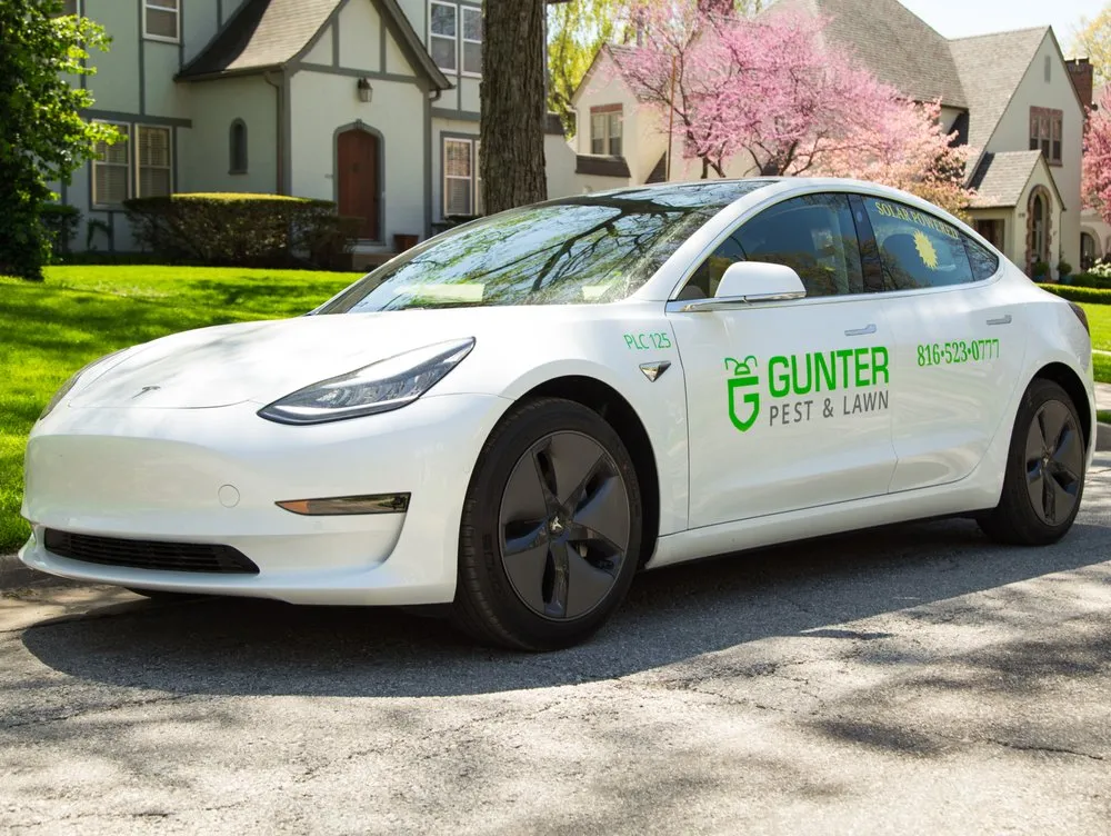 Local lawn mowing service with custom design across Kansas City, MO - Gunter Pest & Lawn