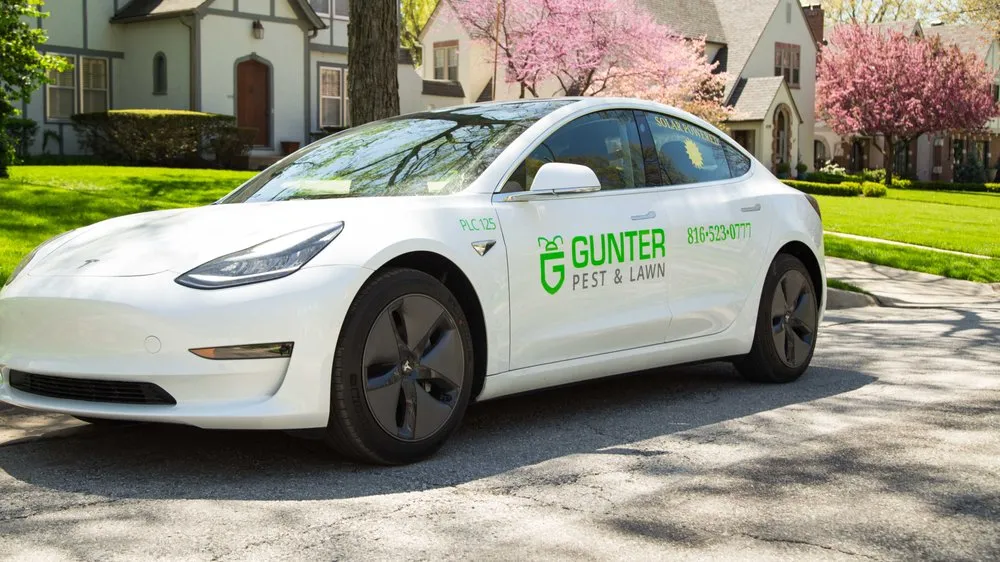 Expert yard maintenance in Kansas City, MO - Gunter Pest & Lawn