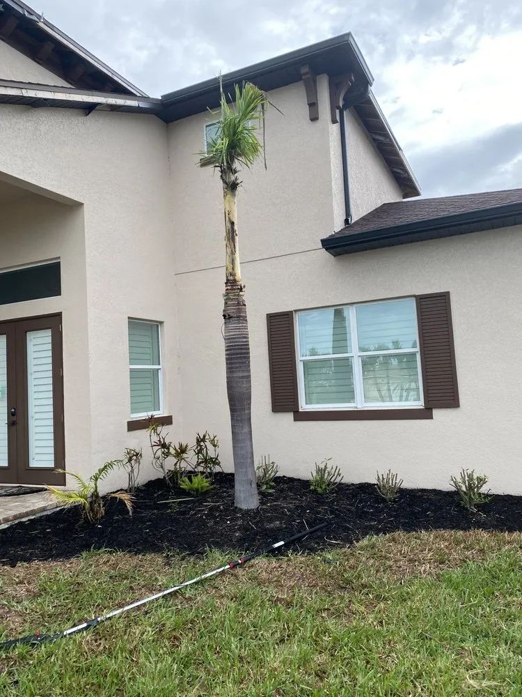Reliable lawn mowing service experts serving Cape Coral, FL - Gunters lawn service