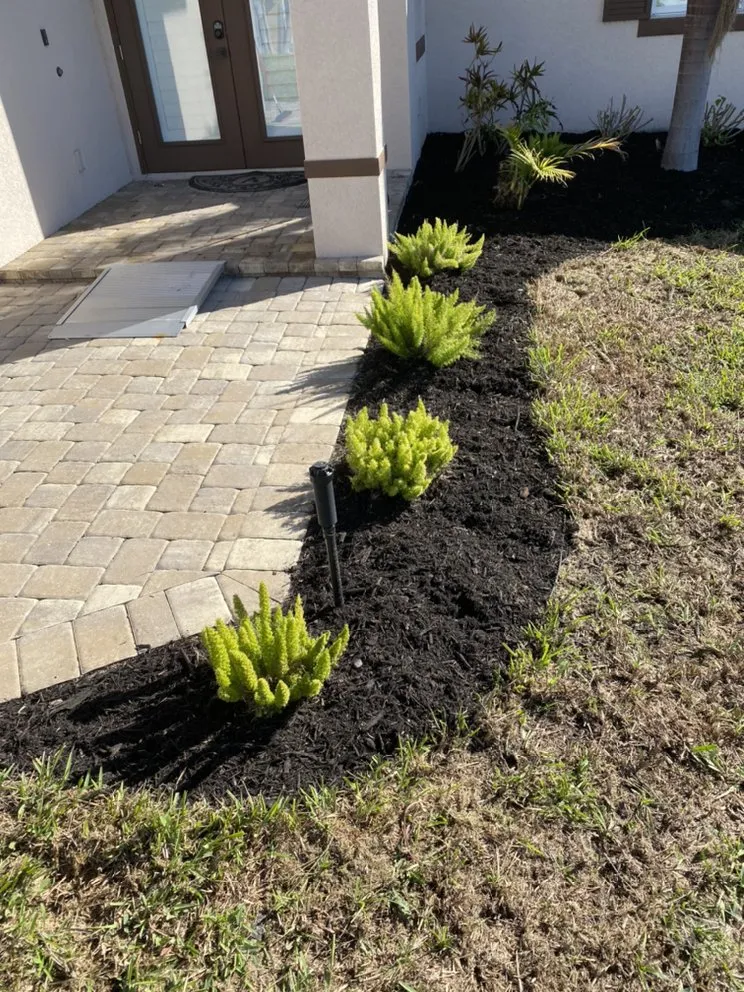 Local landscape design for year-round maintenance across Cape Coral, FL - Gunters lawn service