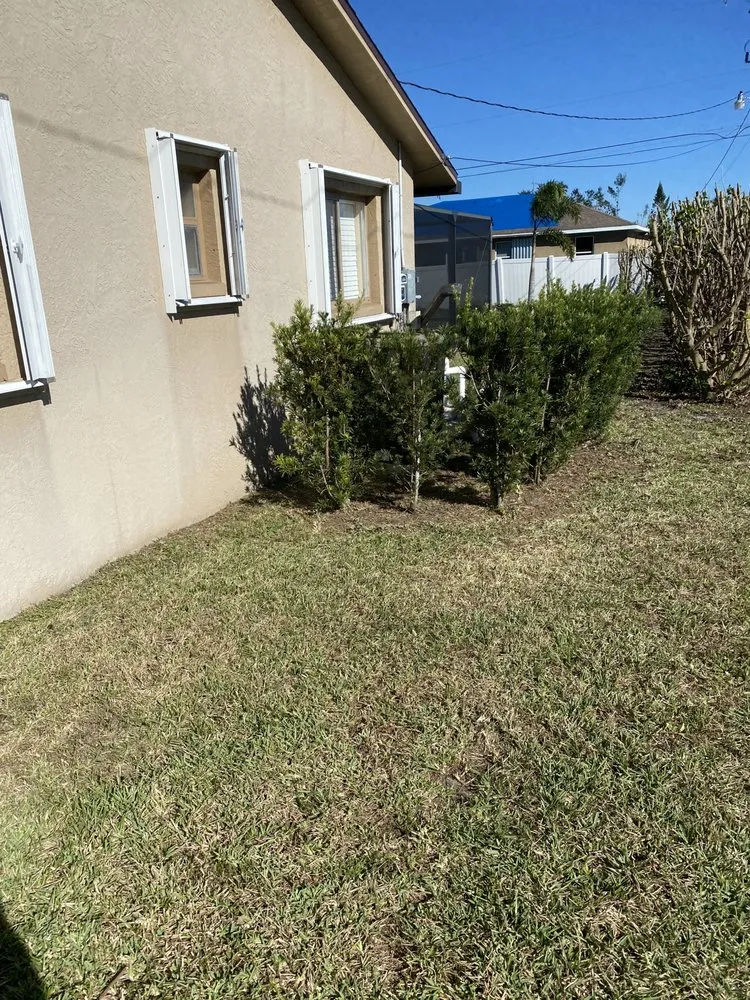 Affordable yard maintenance for beautiful yards in Cape Coral, FL by Gunters lawn service