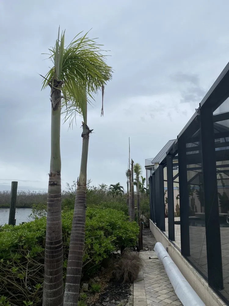 Local yard maintenance in Cape Coral, FL by Gunters lawn service