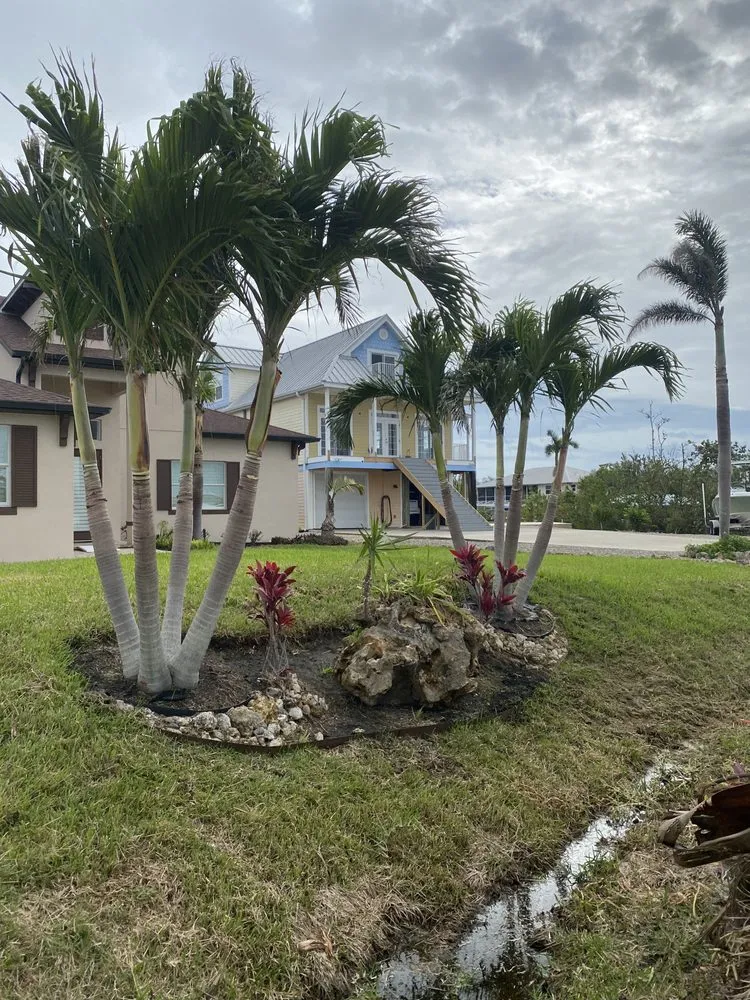 Expert lawn mowing service in Cape Coral, FL - Gunters lawn service