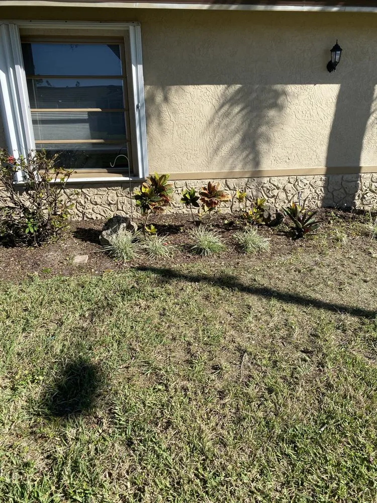 Local yard maintenance experts serving Cape Coral, FL - Gunters lawn service