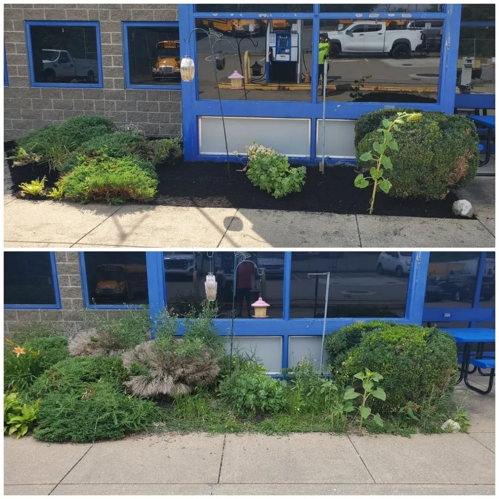 Professional lawn care service for year-round maintenance in Canonsburg, PA by Guntown Lawn Care