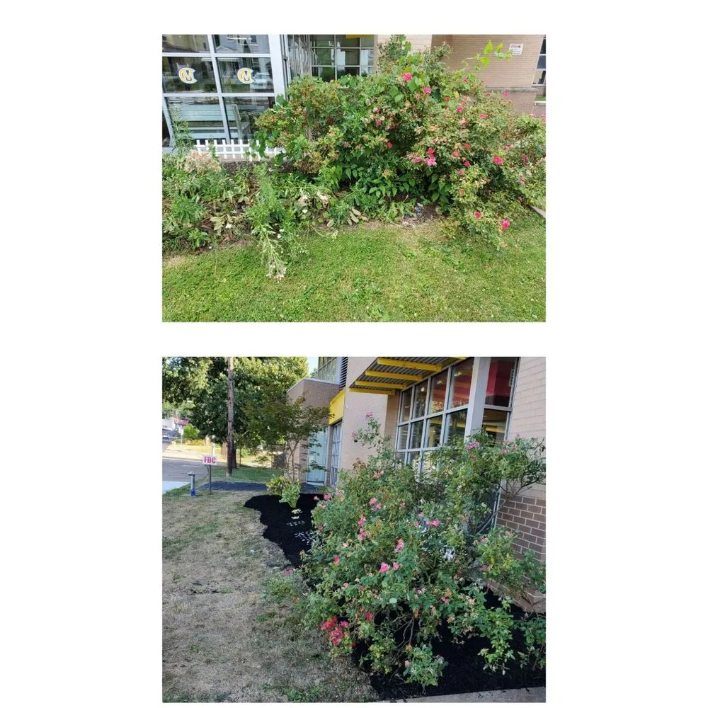 Custom lawn care service experts serving Canonsburg, PA - Guntown Lawn Care