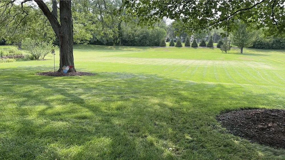 Reliable lawn care service for beautiful yards across La Grange, IL - Gurney Landscaping