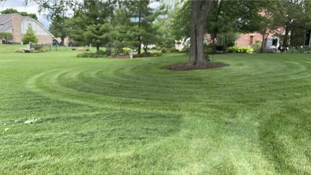 Professional yard cleanup service experts serving La Grange, IL - Gurney Landscaping