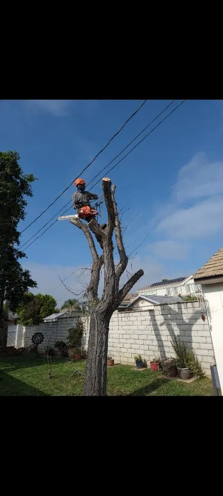 Local landscaping services for homes across Upland, CA - Gurrola And Sons Landscaping