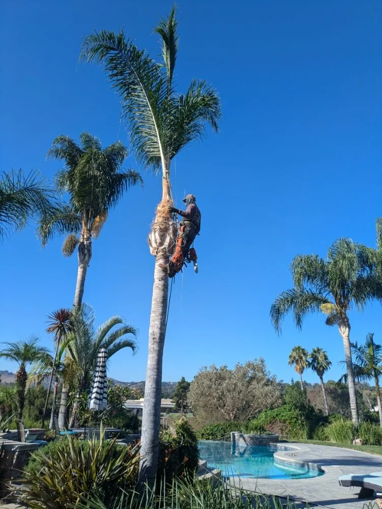 Professional landscaping services experts serving Upland, CA - Gurrola And Sons Landscaping