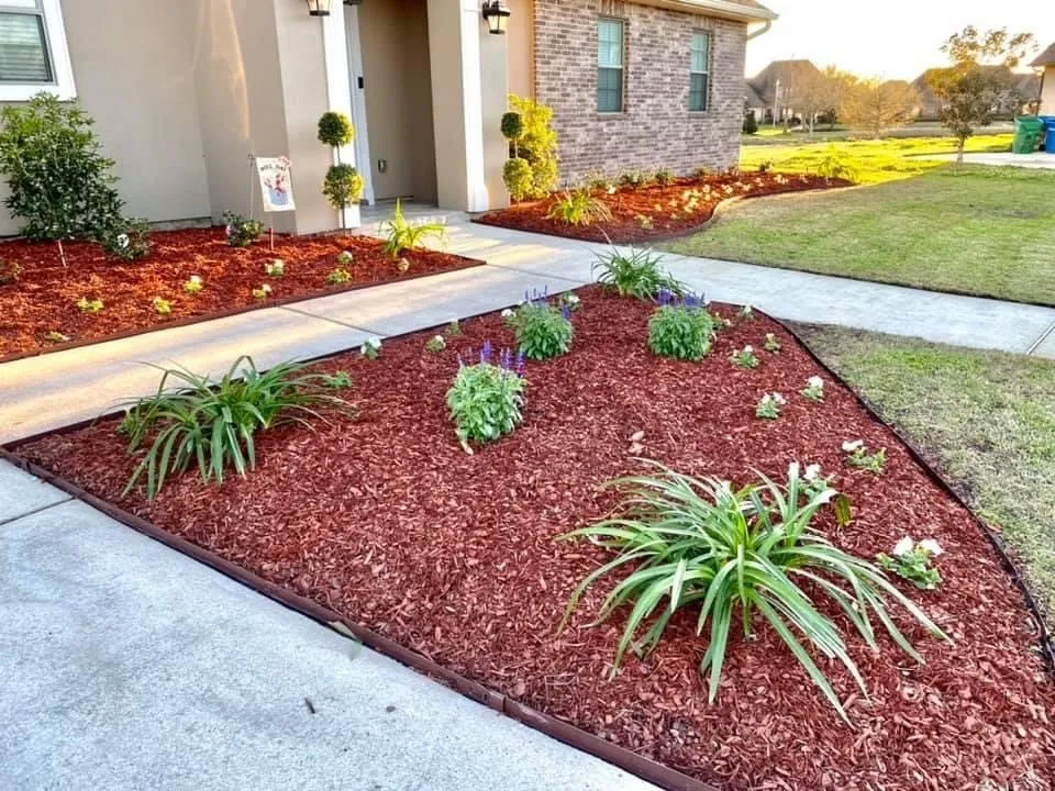Top-rated yard cleanup service in Westwego, LA by Gurtners Lawn Care Plus