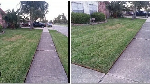 Trusted yard cleanup service in Westwego, LA - Gurtners Lawn Care Plus