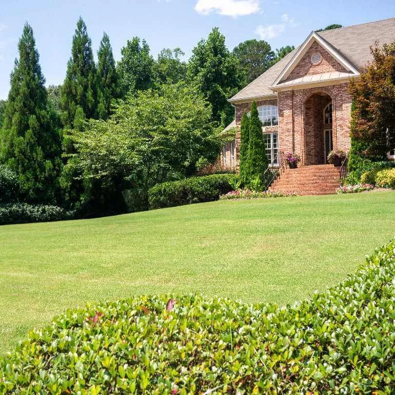 Professional landscape design for year-round maintenance in Stockbridge, GA by Guru Gardens