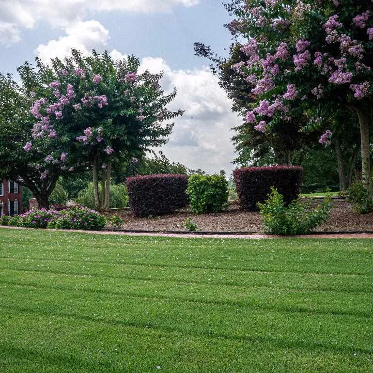 Trusted landscape design for outdoor upgrades across Stockbridge, GA - Guru Gardens