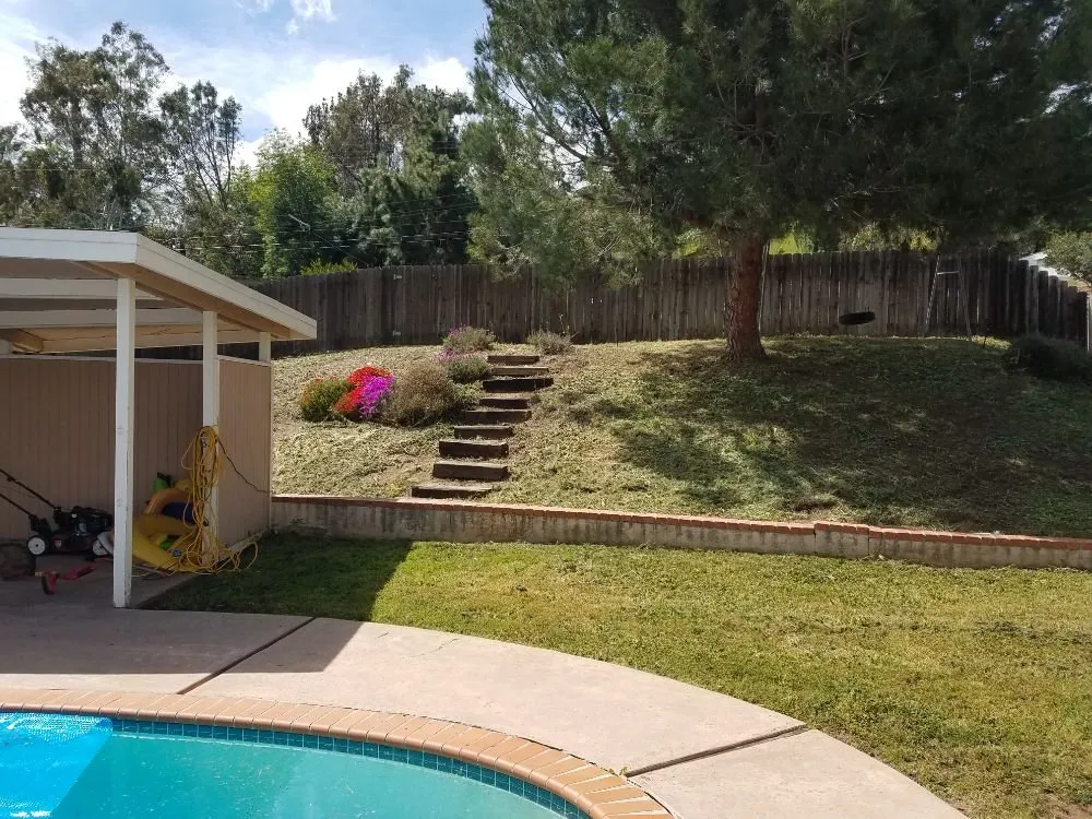 Affordable yard cleanup service experts serving Spring Valley, CA - Gurus Lawn and Yard Service