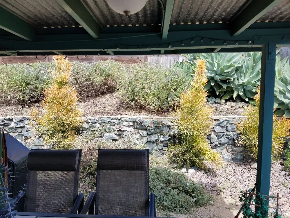 Trusted landscaping services with custom design in Spring Valley, CA by Gurus Lawn and Yard Service