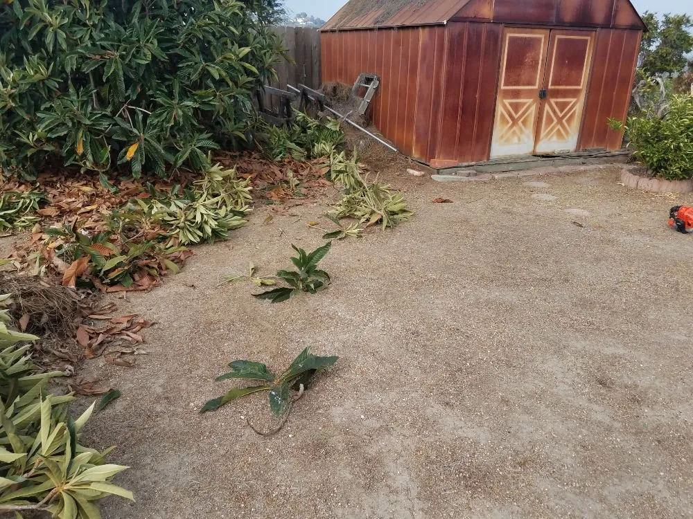 Reliable landscape installation for residential properties across Spring Valley, CA - Gurus Lawn and Yard Service