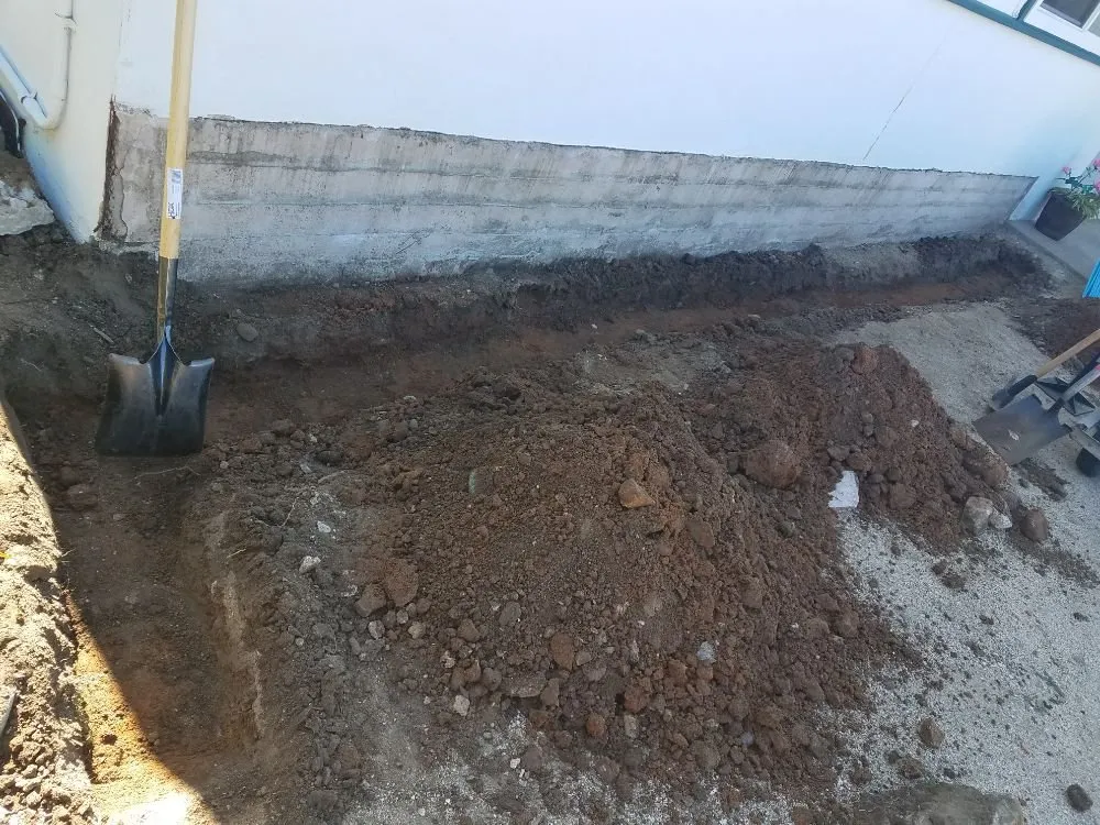 Custom yard cleanup service in Spring Valley, CA - Gurus Lawn and Yard Service