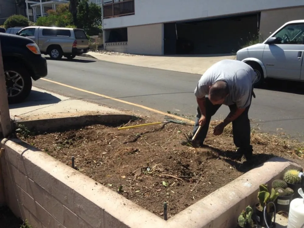 Top-rated residential landscaping in Spring Valley, CA - Gurus Lawn and Yard Service