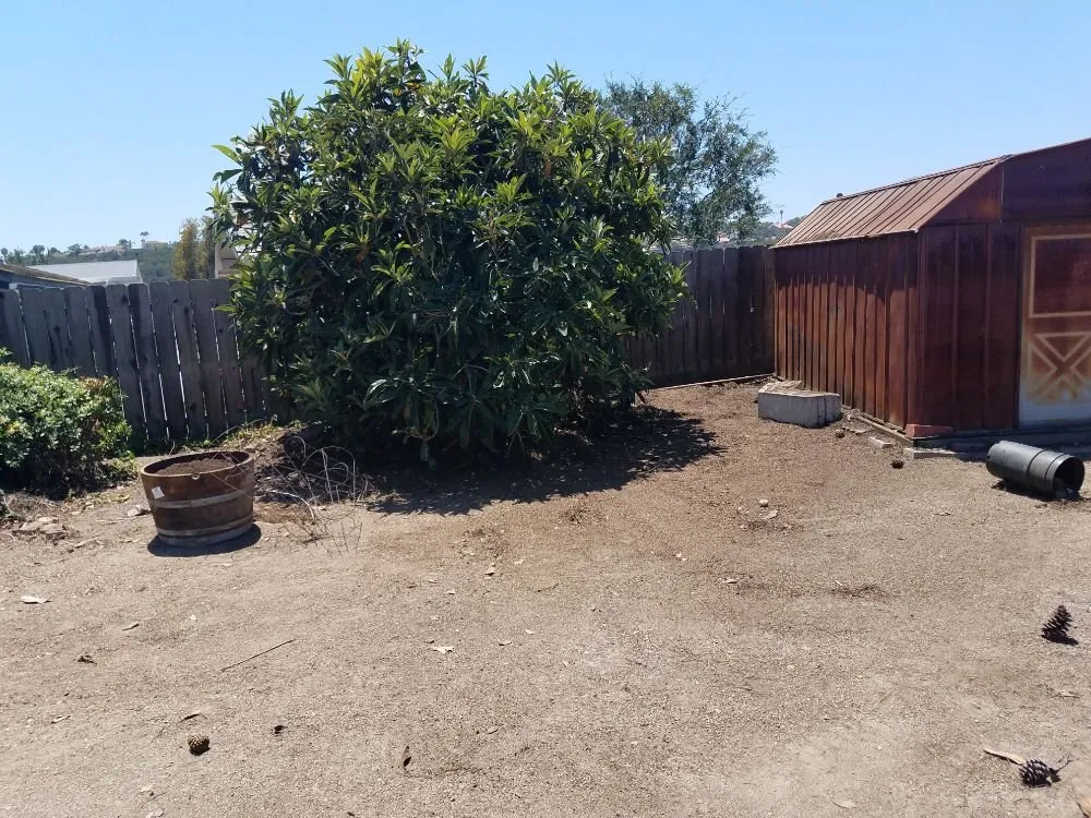 Reliable outdoor landscaping for beautiful yards in Spring Valley, CA by Gurus Lawn and Yard Service