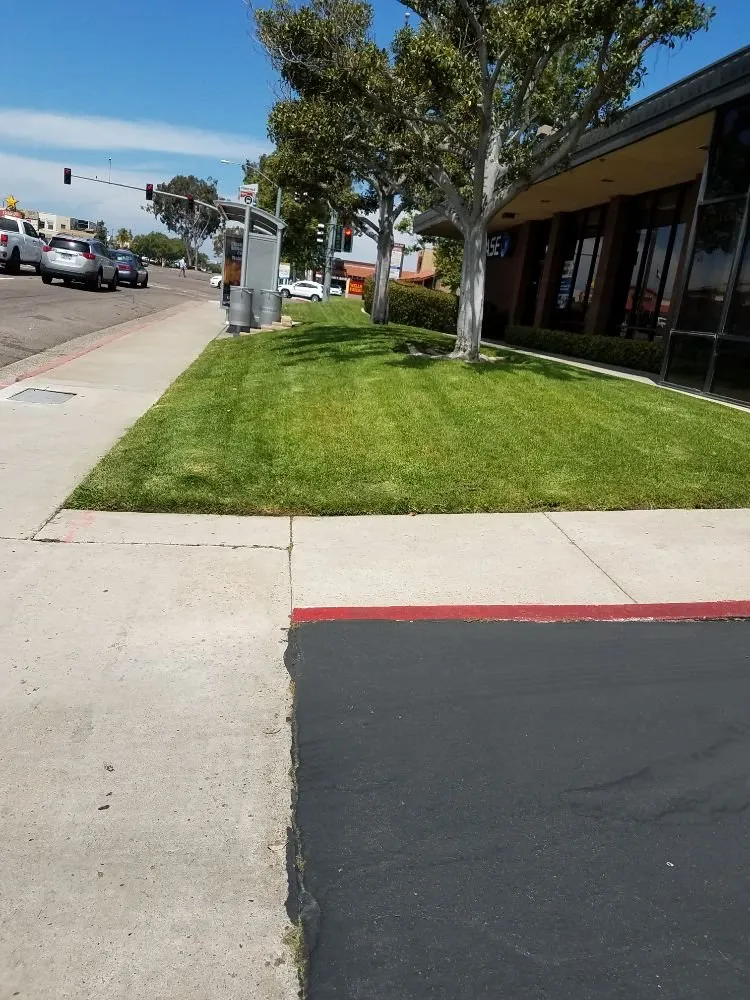 Top-rated landscape design with custom design across Spring Valley, CA - Gurus Lawn and Yard Service