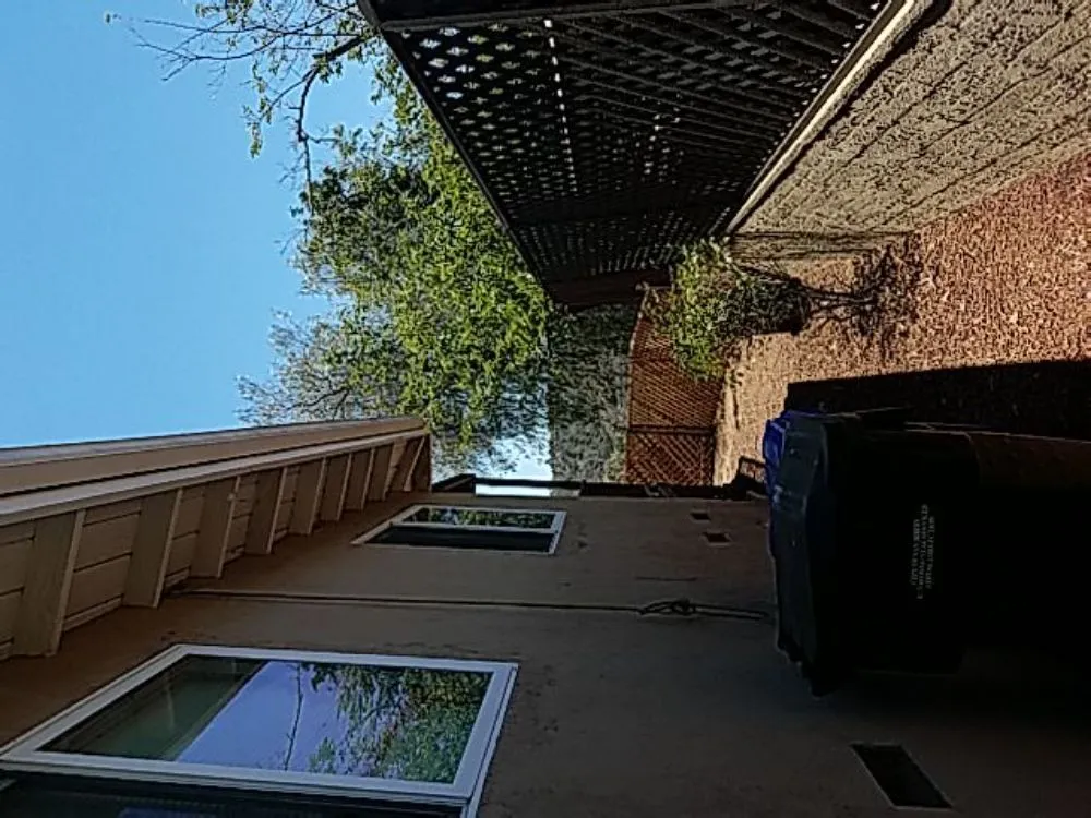 Local lawn mowing service experts serving Spring Valley, CA - Gurus Lawn and Yard Service