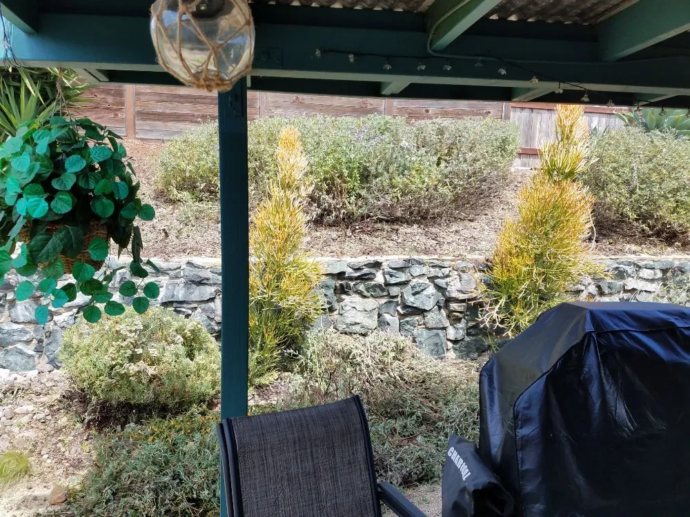 Affordable lawn mowing service experts serving Spring Valley, CA - Gurus Lawn and Yard Service