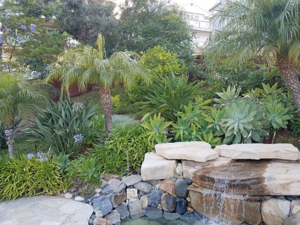 Local yard cleanup service in Spring Valley, CA by Gurus Lawn and Yard Service