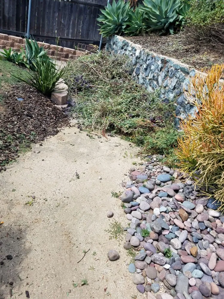 Local lawn mowing service in Spring Valley, CA by Gurus Lawn and Yard Service