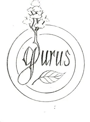 Gurus Lawn and Yard Service