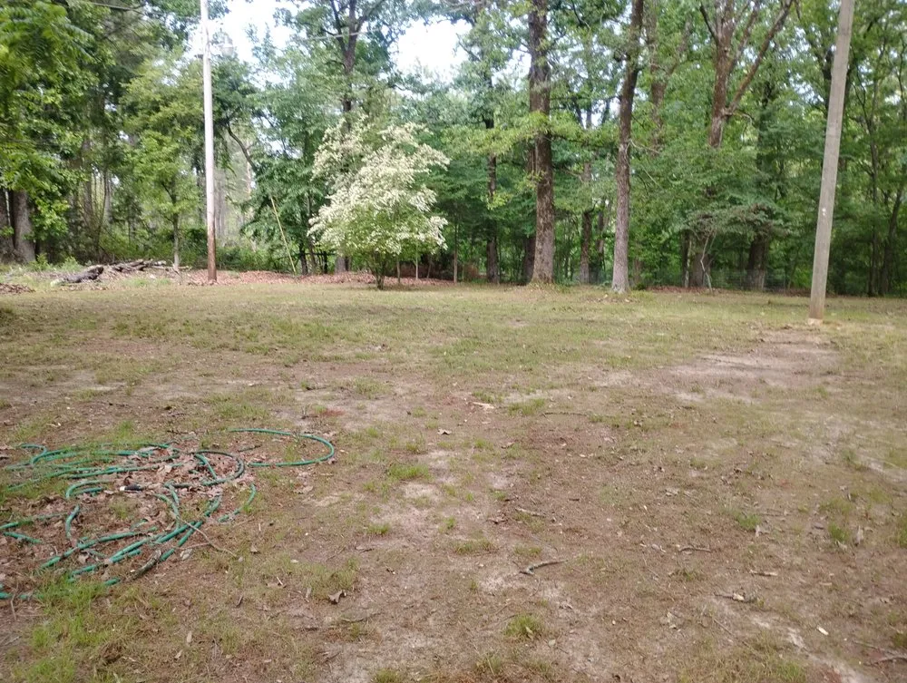 Trusted yard cleanup service experts serving Ola, AR - Guru's Lawn Landscaping and Gardens too