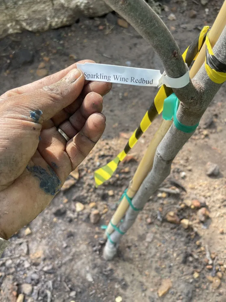 Trusted landscape installation in Lewisville, TX - Gus Lawn An Landscape Service